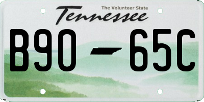 TN license plate B9065C