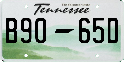 TN license plate B9065D
