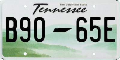 TN license plate B9065E