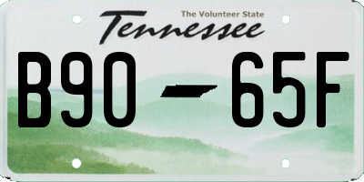 TN license plate B9065F