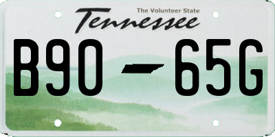 TN license plate B9065G