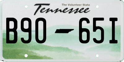 TN license plate B9065I