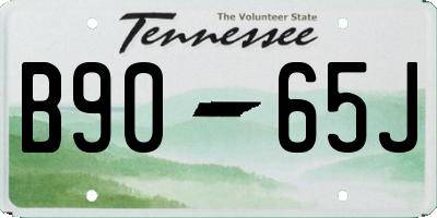 TN license plate B9065J