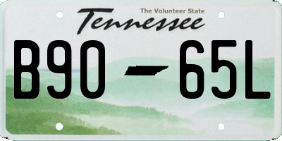 TN license plate B9065L