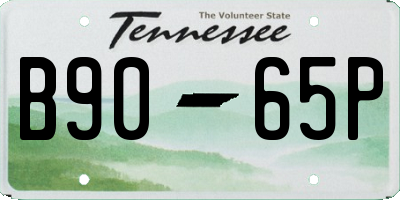 TN license plate B9065P