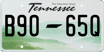 TN license plate B9065Q