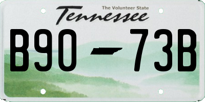 TN license plate B9073B