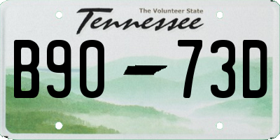 TN license plate B9073D