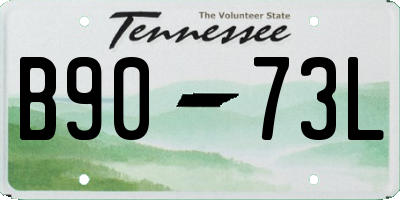 TN license plate B9073L