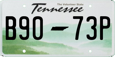 TN license plate B9073P