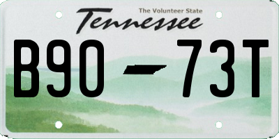 TN license plate B9073T