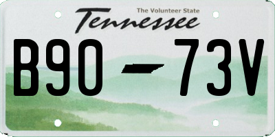TN license plate B9073V