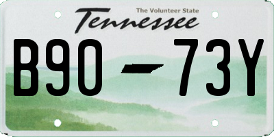 TN license plate B9073Y