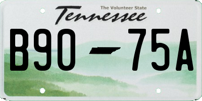 TN license plate B9075A