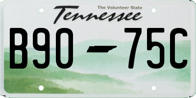 TN license plate B9075C