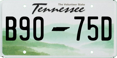 TN license plate B9075D