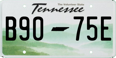 TN license plate B9075E