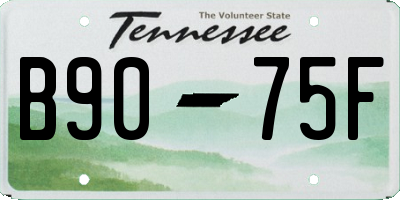 TN license plate B9075F