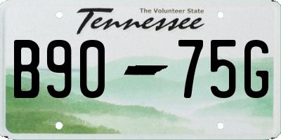 TN license plate B9075G