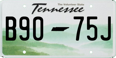 TN license plate B9075J