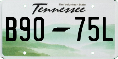 TN license plate B9075L
