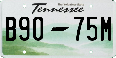 TN license plate B9075M
