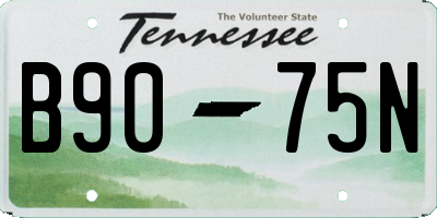 TN license plate B9075N