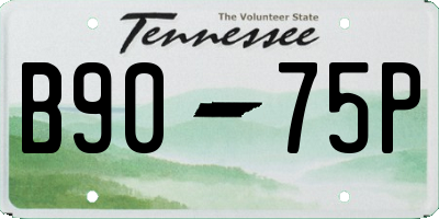 TN license plate B9075P