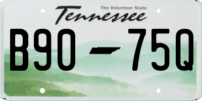 TN license plate B9075Q