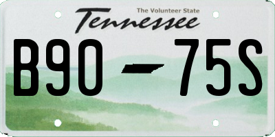 TN license plate B9075S