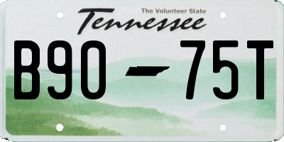 TN license plate B9075T