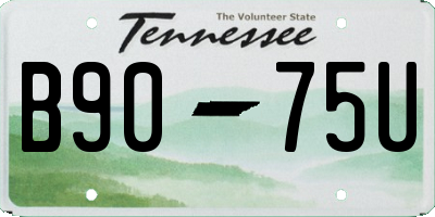 TN license plate B9075U