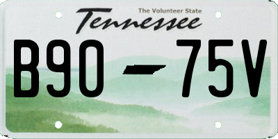 TN license plate B9075V