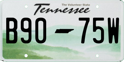 TN license plate B9075W