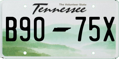 TN license plate B9075X