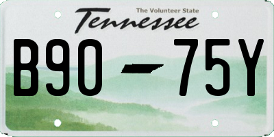 TN license plate B9075Y