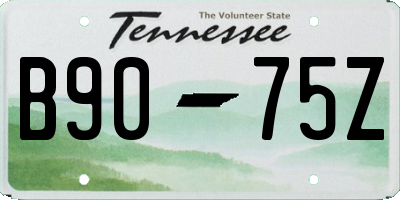 TN license plate B9075Z