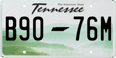 TN license plate B9076M