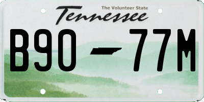 TN license plate B9077M