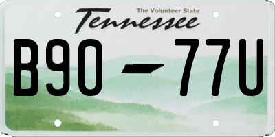 TN license plate B9077U