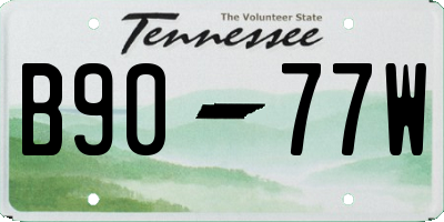 TN license plate B9077W