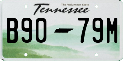 TN license plate B9079M