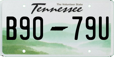 TN license plate B9079U