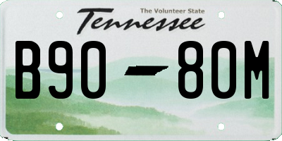 TN license plate B9080M