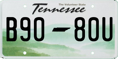 TN license plate B9080U