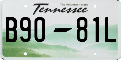 TN license plate B9081L