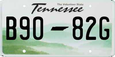 TN license plate B9082G