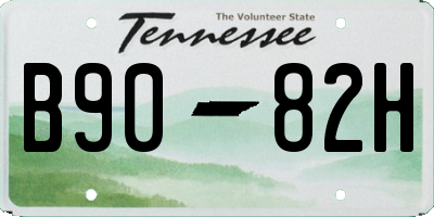 TN license plate B9082H