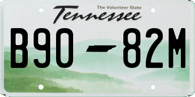TN license plate B9082M