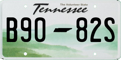 TN license plate B9082S